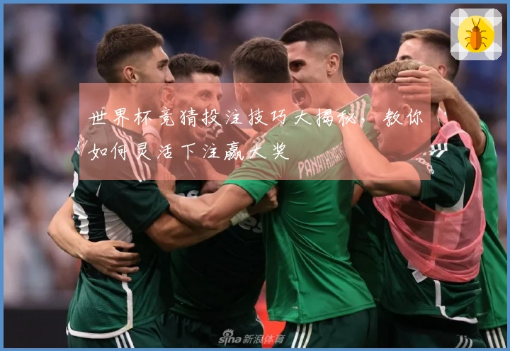 世界杯竞猜投注技巧大揭秘，教你如何灵活下注赢大奖