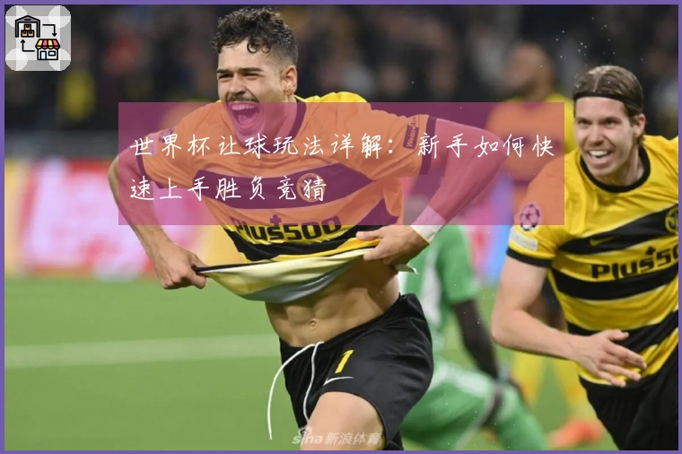 世界杯让球玩法详解：新手如何快速上手胜负竞猜