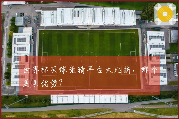 世界杯买球竞猜平台大比拼，哪个更具优势？