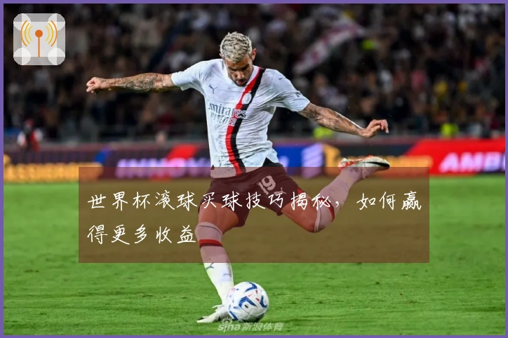 世界杯滚球买球技巧揭秘，如何赢得更多收益