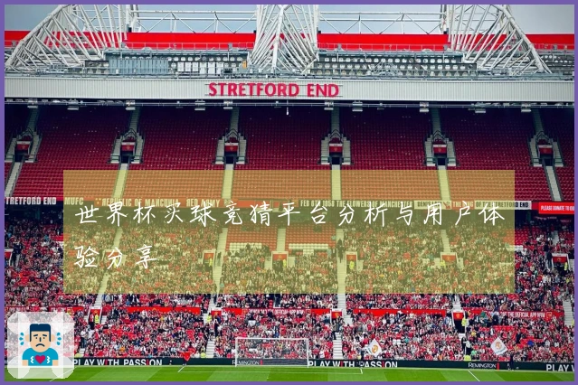 世界杯买球竞猜平台分析与用户体验分享