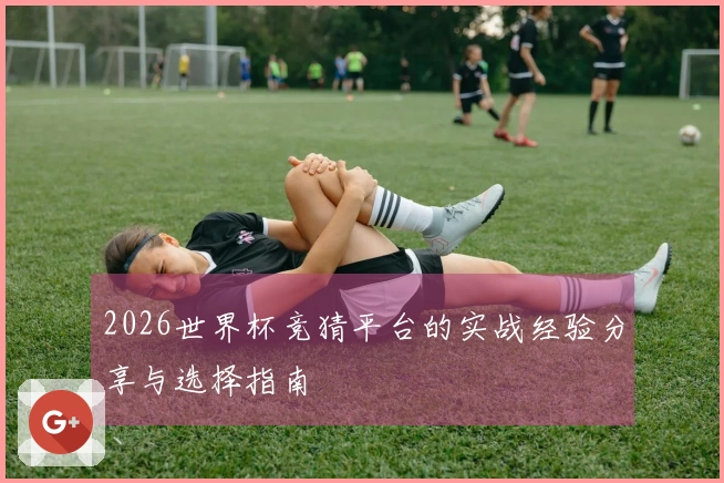 2026世界杯竞猜平台的实战经验分享与选择指南