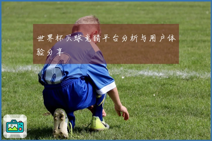 世界杯买球竞猜平台分析与用户体验分享