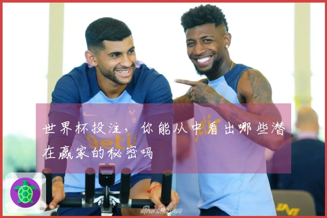 世界杯投注，你能从中看出哪些潜在赢家的秘密吗