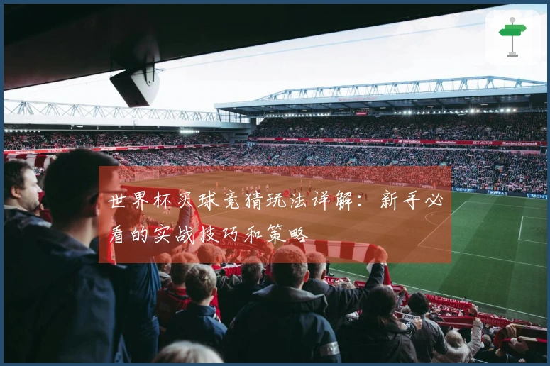 世界杯买球竞猜玩法详解：新手必看的实战技巧和策略