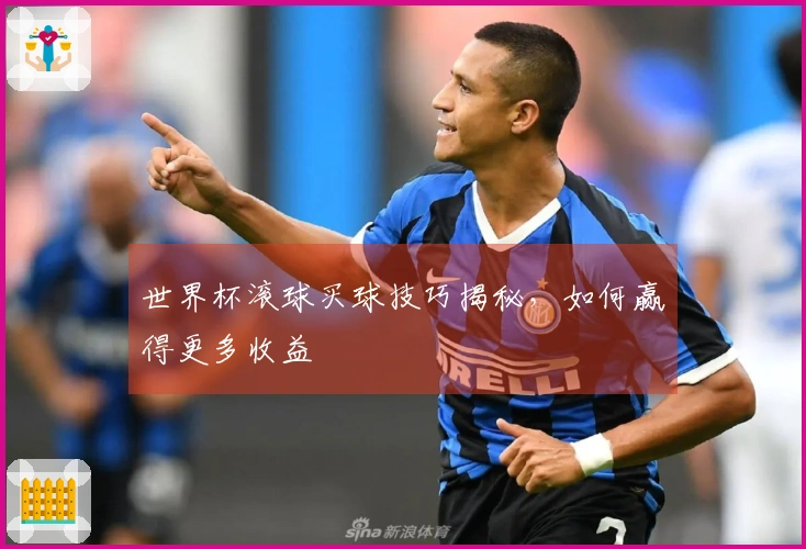 世界杯滚球买球技巧揭秘，如何赢得更多收益